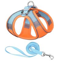Simple Style Polyester Color Block Grid Leash main image 1