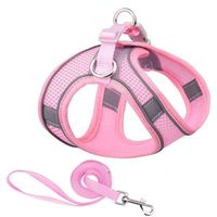 Simple Style Polyester Color Block Grid Leash main image 2