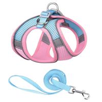 Simple Style Polyester Color Block Grid Leash main image 3