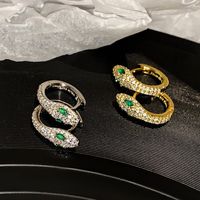1 Paar Einfacher Stil Pendeln Schlange Inlay Kupfer Künstliche Edelsteine Ohrringe main image 1