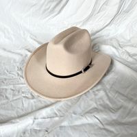 Men's Elegant Solid Color Curved Eaves Fedora Hat sku image 6