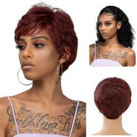 Women's Simple Style Casual High Temperature Wire Side Fringe Short Curly Hair Wig Net main image 6