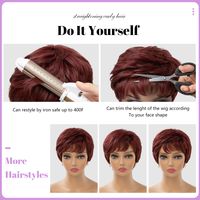 Women's Simple Style Casual High Temperature Wire Side Fringe Short Curly Hair Wig Net main image 3