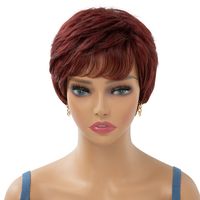 Women's Simple Style Casual High Temperature Wire Side Fringe Short Curly Hair Wig Net sku image 1