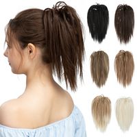 Women's Casual Multicolor Casual High Temperature Wire Ponytail Wigs main image 6