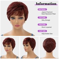 Women's Simple Style Casual High Temperature Wire Side Fringe Short Curly Hair Wig Net main image 2
