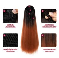 Women's Casual Multicolor Casual High Temperature Wire Ponytail Wig Clips main image 5
