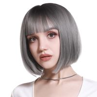Women's Simple Style Multicolor Casual High Temperature Wire Bangs Short Straight Hair Wig Net main image 5