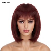Frau Einfacher Stil Mehrfarbig Lässig Hochtemperaturdraht Knalleffekte Kurzes Glattes Haar Perückennetz sku image 13