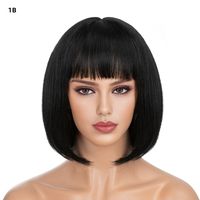 Women's Simple Style Multicolor Casual High Temperature Wire Bangs Short Straight Hair Wig Net sku image 1