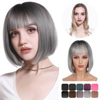 Women's Simple Style Multicolor Casual High Temperature Wire Bangs Short Straight Hair Wig Net main image 4