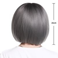 Women's Simple Style Multicolor Casual High Temperature Wire Bangs Short Straight Hair Wig Net main image 2