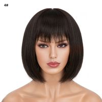 Women's Simple Style Multicolor Casual High Temperature Wire Bangs Short Straight Hair Wig Net sku image 2