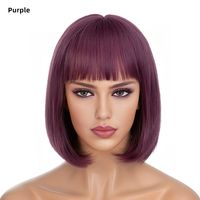 Women's Simple Style Multicolor Casual High Temperature Wire Bangs Short Straight Hair Wig Net sku image 9