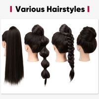 Women's Casual Multicolor Casual High Temperature Wire Ponytail Wig Clips main image 2