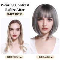 Women's Simple Style Multicolor Casual High Temperature Wire Bangs Short Straight Hair Wig Net main image 3