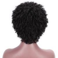 Women's African Style Party Street High Temperature Wire Curls Wigs main image 2