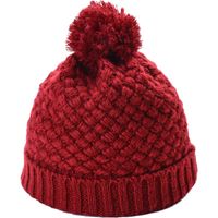 Women's Simple Style Solid Color Pom Poms Flat Eaves Wool Cap sku image 11