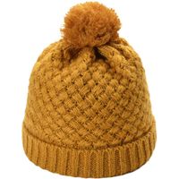 Women's Simple Style Solid Color Pom Poms Flat Eaves Wool Cap sku image 2