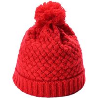 Women's Simple Style Solid Color Pom Poms Flat Eaves Wool Cap sku image 1