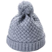 Women's Simple Style Solid Color Pom Poms Flat Eaves Wool Cap sku image 8