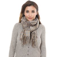 Women's Simple Style Commute Color Block Imitation Cashmere Scarf main image 1