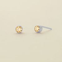 1 Pair Simple Style Geometric Round Plating Inlay Stainless Steel Rhinestones Ear Studs sku image 11