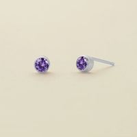 1 Pair Simple Style Geometric Round Plating Inlay Stainless Steel Rhinestones Ear Studs sku image 2