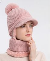 Women's Basic Simple Style Solid Color Pom Poms Ear Warap Wool Cap main image 5