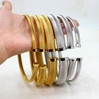 Wholesale Elegant Lady Solid Color Stainless Steel Titanium Steel Plating 18k Gold Plated Bracelets Earrings Necklace main image 6