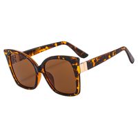 Elegant Simple Style Gradient Color Leopard Pc Cat Eye Full Frame Women's Sunglasses main image 5