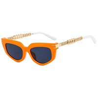 Basic Simple Style Color Block Pc Cat Eye Full Frame Women's Sunglasses sku image 7