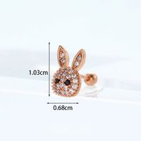 Ear Cartilage Rings & Studs Exaggerated Animal 316 Stainless Steel  Copper sku image 24