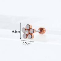 Ear Cartilage Rings & Studs Fashion Geometric 316 Stainless Steel  Copper Zircon sku image 7