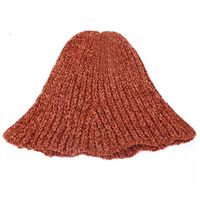 Women's Korean Style Solid Color Side Of Fungus Wool Cap main image 2