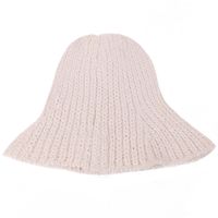 Women's Korean Style Solid Color Side Of Fungus Wool Cap sku image 4