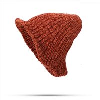 Women's Korean Style Solid Color Side Of Fungus Wool Cap main image 4