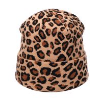 Women's Streetwear Leopard Pearl Eaveless Wool Cap main image 3