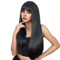 Women's Simple Style Party Stage Street High Temperature Wire Bangs Long Straight Hair Wig Net sku image 1