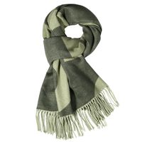 Women's Simple Style Classic Style Color Block Polyester Scarf main image 2