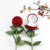 Simple Style Flower Plastic Valentine's Day Jewelry Boxes sku image 4