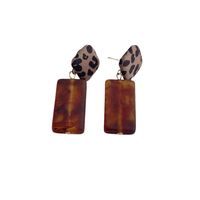 1 Pair Simple Style Geometric Resin Drop Earrings main image 2