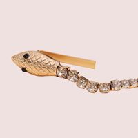 Women's Simple Style Snake Alloy Plating Inlay Rhinestones Hair Clip main image 5