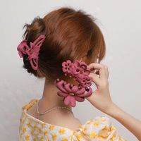 Women's Simple Style Flower Plastic Hair Claws main image 1