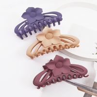 Women's Simple Style Flower Plastic Hair Claws main image 4