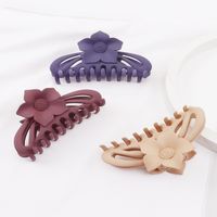 Women's Simple Style Flower Plastic Hair Claws main image 5