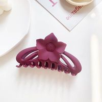 Women's Simple Style Flower Plastic Hair Claws sku image 1