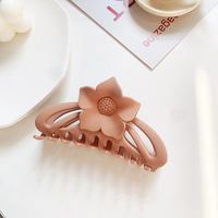 Women's Simple Style Flower Plastic Hair Claws sku image 3
