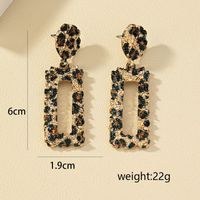 1 Piece Nordic Style Leopard Rectangle Hollow Out Alloy Drop Earrings main image 6