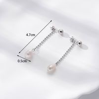 1 Pair Simple Style C Shape Round Pearl Plating Inlay Stainless Steel Pearl Zircon 18k Gold Plated Drop Earrings main image 3